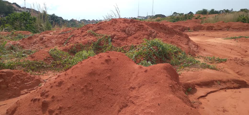 Gully erosion in Anambra State, south-eastern Nigeria
